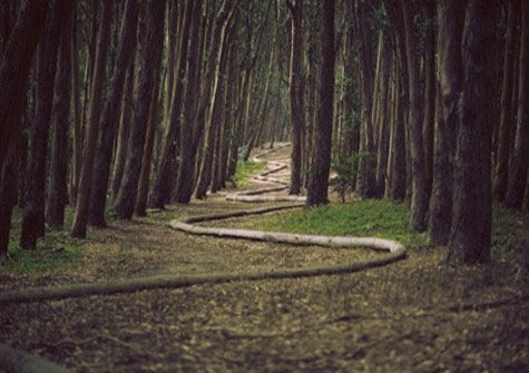 案例展示八-世界杯球迷瞬间