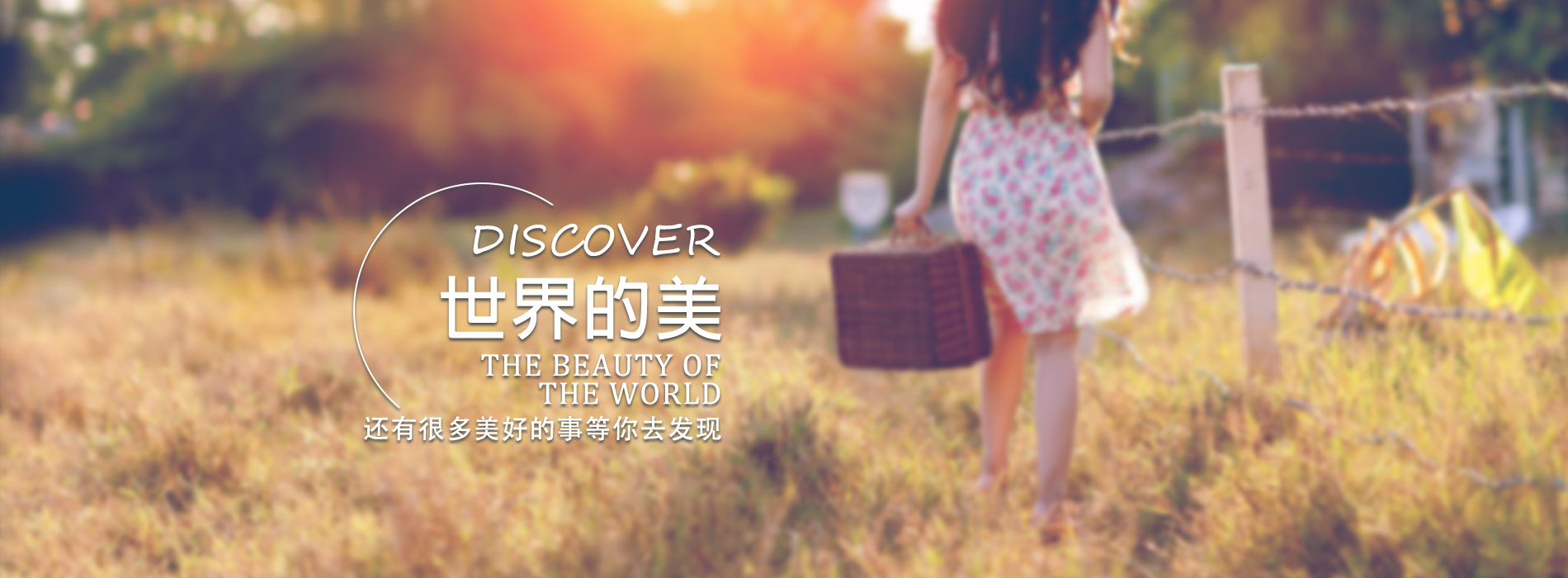 世界杯城市夜景与球迷氛围