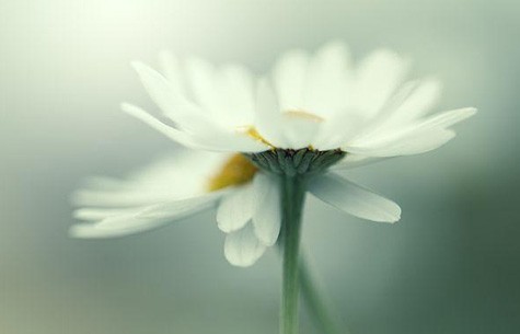 案例展示三-城市户外观赛场景