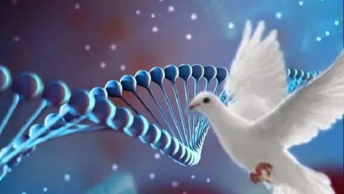 5月23日足球比赛：芬超、瑞典超、意甲、西甲、美职联赛事分析、比分参考(图1)